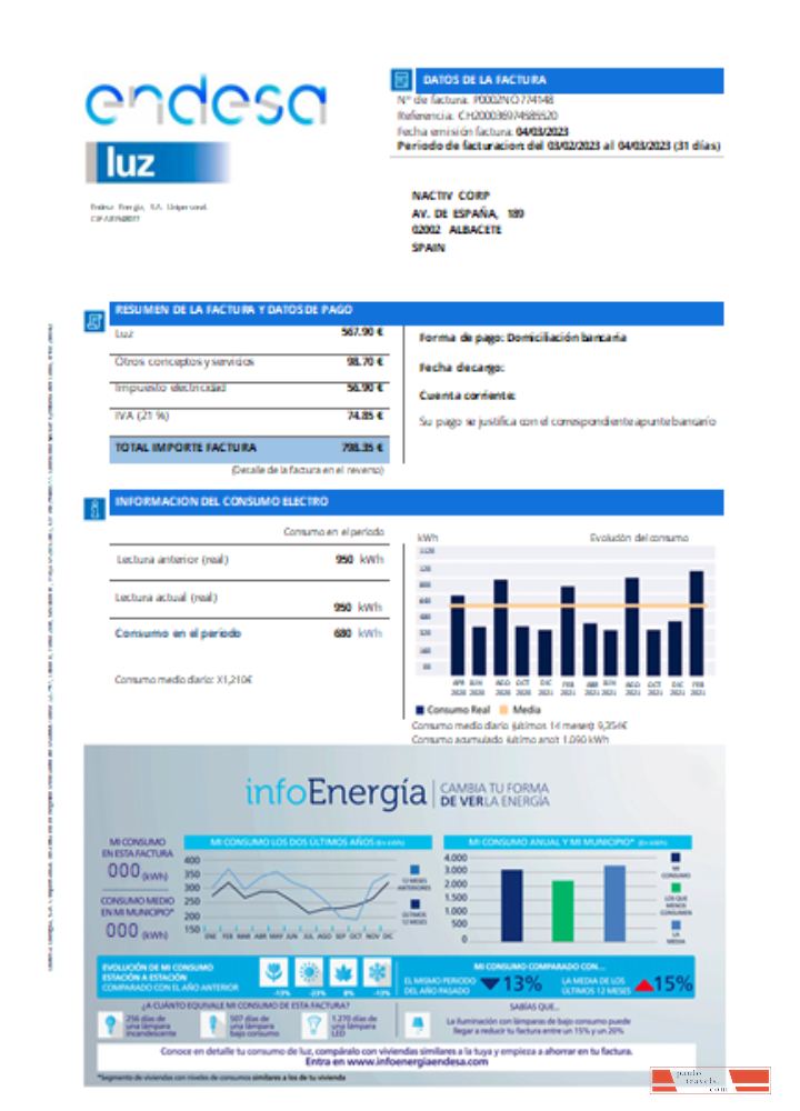 Endesa luz utility business bill  SCR PSD template